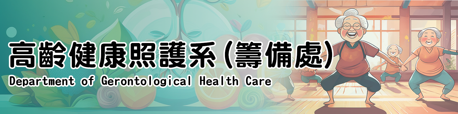 高齡健康照護系